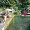 Pengunjung Kampung Wisata Taman Lele Semarang melihat-lihat ikan lele jumbo. (Foto: Mualim)