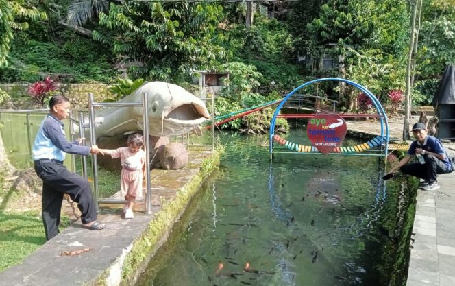 
					Pengunjung Kampung Wisata Taman Lele Semarang melihat-lihat ikan lele jumbo. (Foto: Mualim)