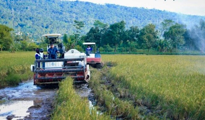 
					Jateng Percepat Swasembada Pangan 2026, Ini Langkah Konkret yang Dijalankan