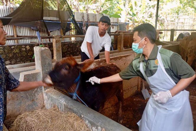 
					Program “Healing” Jangkau Desa, Pemprov Jateng Beri Layanan Kesehatan Hewan Gratis