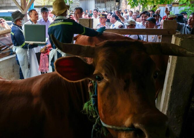 
					Jelang Iduladha, Jateng Perkuat Layanan Kesehatan Hewan Keliling untuk Antisipasi Penyakit