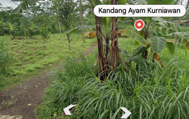 
					Sabung Ayam dan Dadu di Jetis Tengaran Diduga Masih Beroperasi, Warga Tuntut Penindakan Tegas