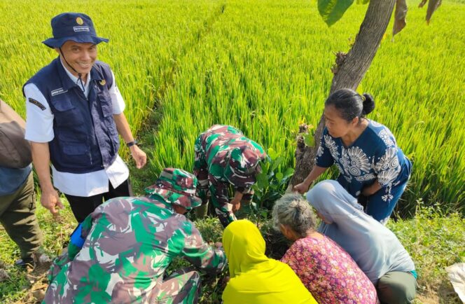 
					TMMD Kodim 0725/Sragen Tanam 500 Pohon Buah untuk Wujudkan Desa Hijau dan Sejahtera