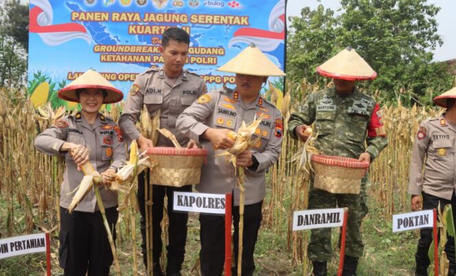 
					Polres Demak Panen Raya Jagung, Empat Ton Hasil Panen Masuk ke Bulog
