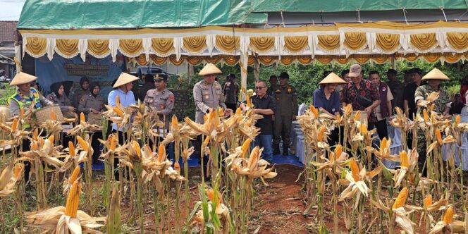 
					Polres Jepara Gelar Panen Raya Jagung dan Ikuti Groundbreaking Gudang Pangan Polri