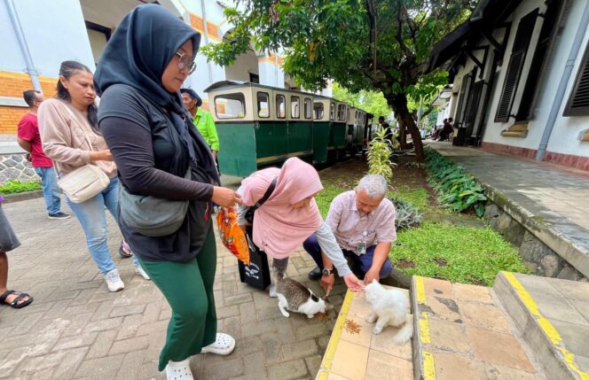 
					Lawang Sewu Rangkul Komunitas Pecinta Kucing, Perkuat Kepedulian terhadap Kesejahteraan Hewan