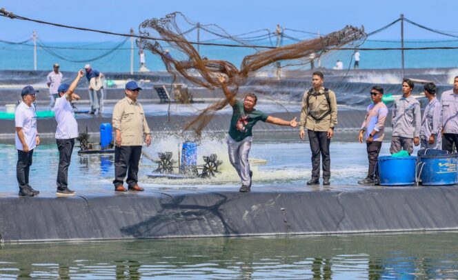 
					Presiden Panen Raya Udang di Kebumen, Luthfi Nilai Perikanan Jateng Kian Prospektif