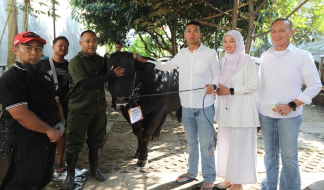 
					Polres Semarang Sembelih 11 Hewan Kurban, Ribuan Paket Daging Dibagikan ke Masyarakat
