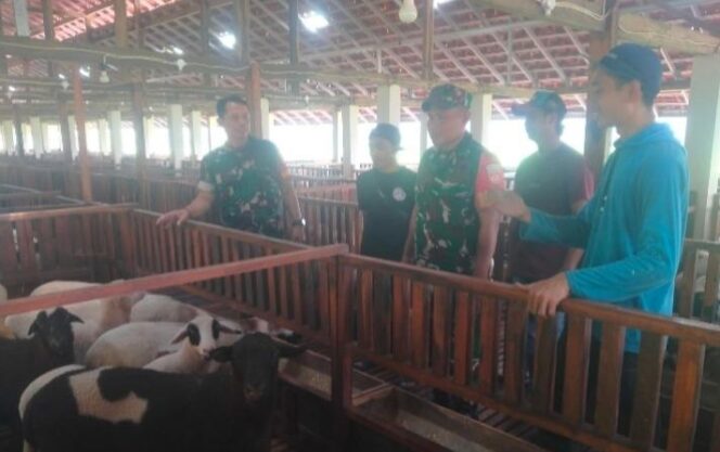 
					Babinsa Gemolong Sambangi Peternak, Ajak Warga Waspadai Ancaman Penyakit Hewan