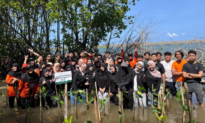 
					Kader HW UMS Tanam Mangrove di Pantai Baros, Wujudkan Aksi Nyata Peduli Lingkungan