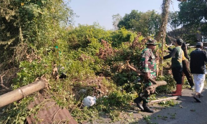 
					Babinsa Joyotakan dan Warga Bersinergi Bersihkan Makam Padangan, Wujudkan Lingkungan yang Asri