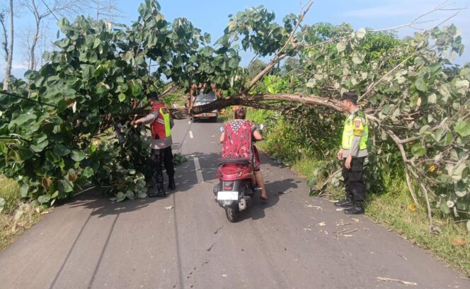 
					Polsek Donorojo Bersama Warga Sigap Tangani Pohon Tumbang di Jalur Wisata Benteng Portugis