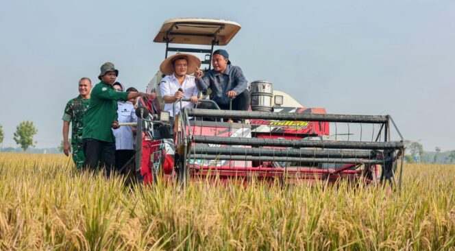 
					Kejar Produksi Padi 10,5 Juta Ton, Pemprov Jateng Antisipasi Dampak Kemarau Ekstrem