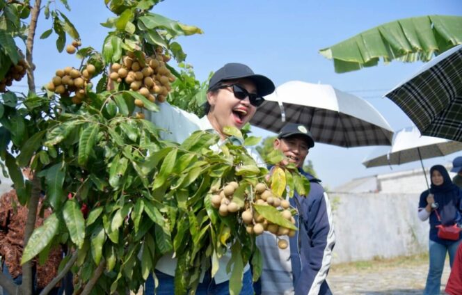 
					Agustina Wilujeng Resmikan Agro Eduwisata Masjid Agung Semarang
