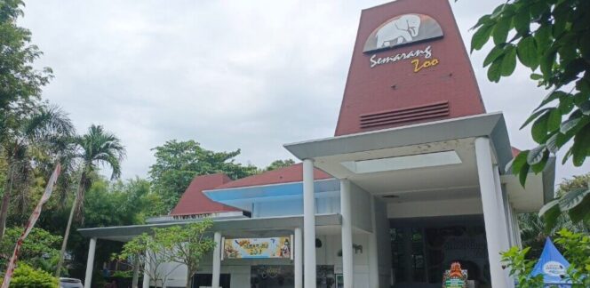 
					Buntut Kematian Harimau Putih “Anggun”, Komisi B Desak Transparansi Pengelolaan Semarang Zoo