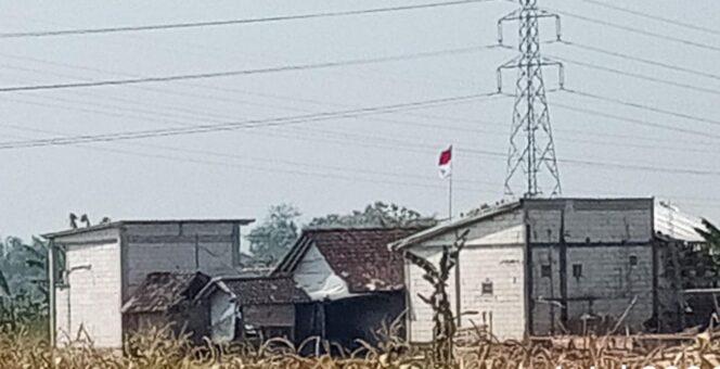 
					Warung Swike di Gemuh Kendal Diduga Jadi Tempat Penjualan Miras, Warga Keluhkan Aktivitas hingga Larut Malam