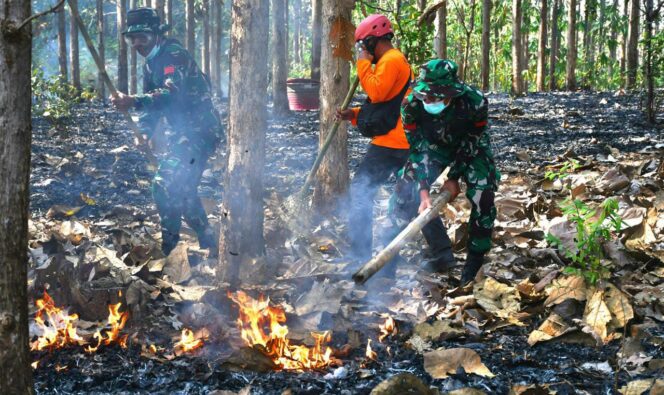 
					Hadapi Ancaman Karhutla di Musim Kemarau, Kodim 0728/Wonogiri Gelar Latihan Gabungan Penanggulangan Bencana