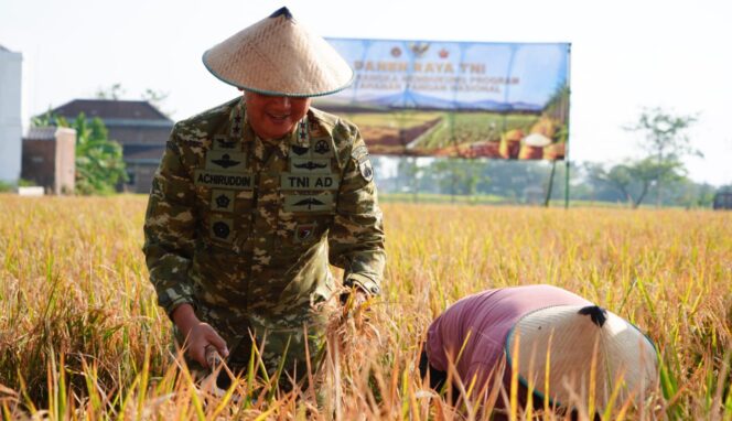 
					Pangdam IV/Diponegoro Ikuti Panen Raya TNI, Tegaskan Komitmen Perkuat Ketahanan Pangan