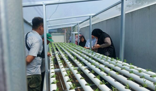 
					Dosen Unilak Perkuat Kemandirian Ekonomi Warga Semarang Lewat Pelatihan Hidroponik