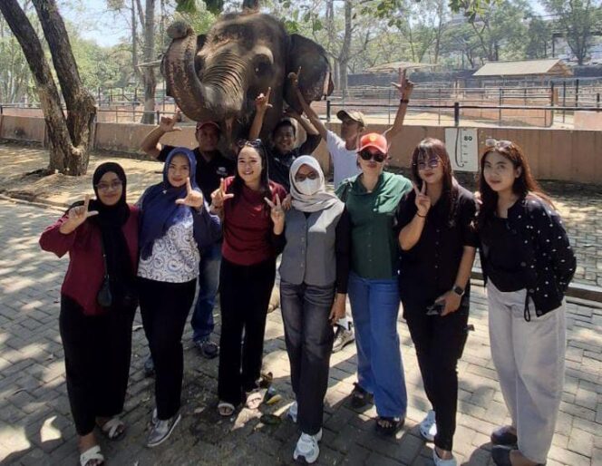 
					Semarang Zoo Dorong Kesadaran Konservasi Lewat Peringatan Hari Gajah Sedunia
