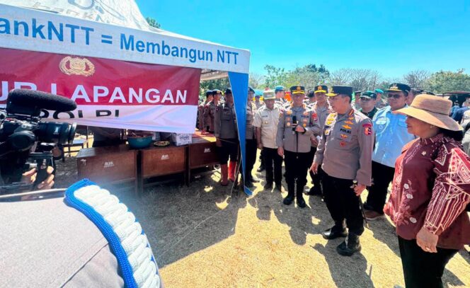 
					Gempa NTT Telan Puluhan Korban, Polri Kerahkan Ratusan Personel dan Ratusan Ton Bantuan