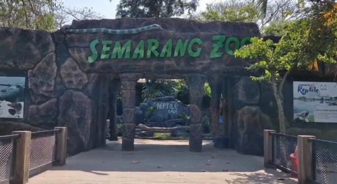 
					Tiket Semarang Zoo Cuma Rp10 Ribu, Warga Kota Semarang Bisa Liburan Hemat hingga Akhir Tahun