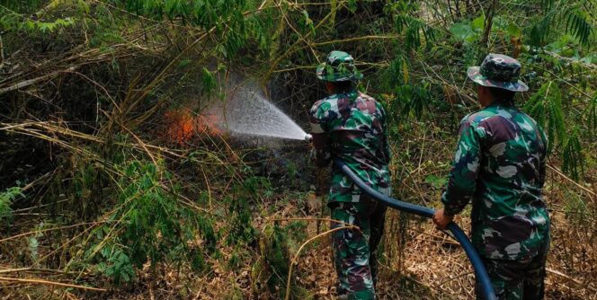 
					Dua Titik Kebakaran Lahan di Wonogiri Berhasil Dipadamkan Tim Gabungan