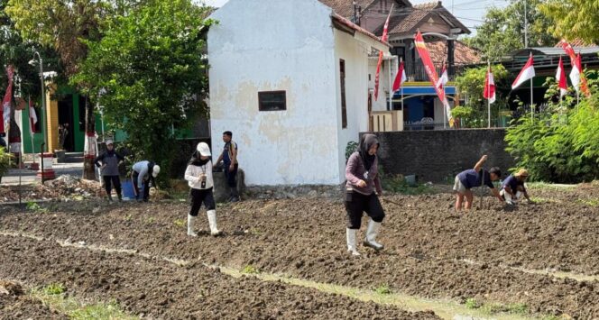 
					Lapas Purwodadi Dorong Kemandirian Warga Binaan Lewat Budidaya Bayam
