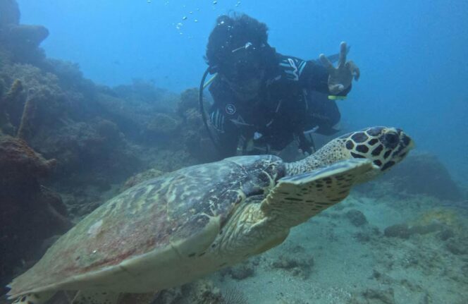 
					Bandara Semarang Bekali Warga Karimunjawa dengan Pelatihan Diving Gratis