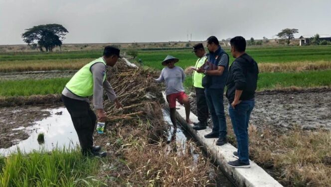 
					Pria 61 Tahun Ditemukan Tak Bernyawa di Pematang Sawah Sawit Boyolali