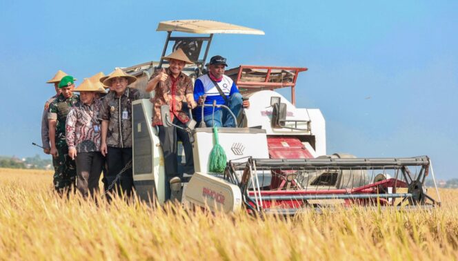 
					Gagal Panen Jangan Bikin Petani Terjerat Utang, Ahmad Luthfi Siapkan Perlindungan Asuransi