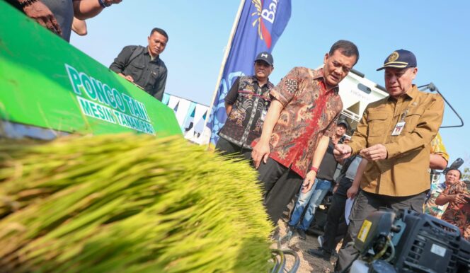 
					Panen di Pemalang, Produksi Padi Jateng Ditarget Tembus 10,5 Juta Ton