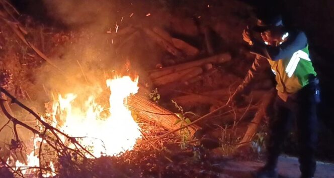 
					Kebakaran Lahan di Pabelan, Api Meluas Membakar Daun Kering dan Rumpun Bambu