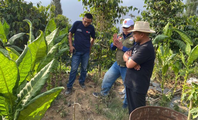 
					Panen Tembakau Wonosobo Meningkat, Amir Masduki Soroti Ketepatan Sasaran DBHCHT