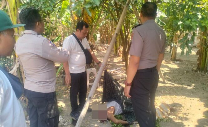 
					Warga Dukuhturi Tewas Terjatuh dari Pohon Jeruk, Polisi Lakukan Pemeriksaan TKP