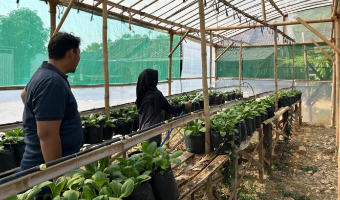 
					Lapas Purwodadi Bekali Warga Binaan Keterampilan Bertani Lewat Budidaya Pakcoy