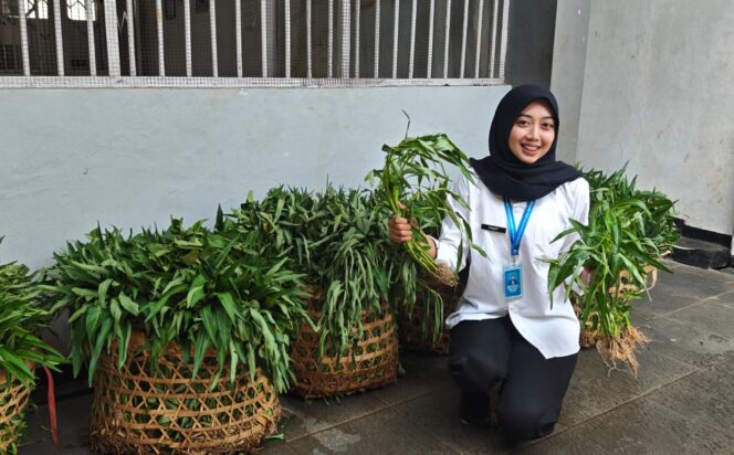 
					Panen 60 Kg Kangkung, Lapas Semarang Dorong Warga Binaan Makin Mandiri