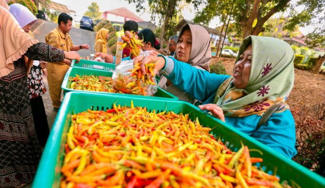 
					Harga Cabai Tembus Rp 90 Ribu, Pemprov Jateng Gelar Pasar Murah untuk Pedagang