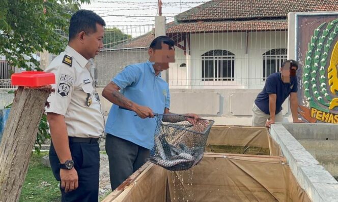 
					Panen 130 Kilogram Lele, Lapas Purwodadi Bekali Warga Binaan Keterampilan Usaha
